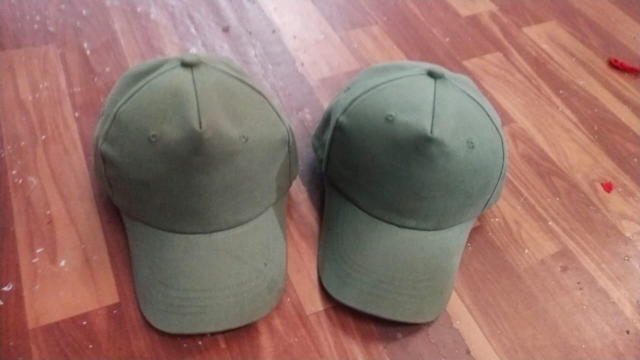 Pair of two light olive green caps